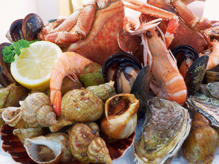 Meeresfrüchte © rdnzl