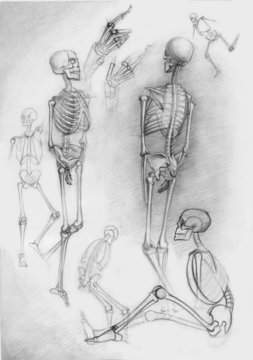 Sketch of skeletons
