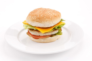 cheeseburger on the plate