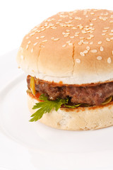hamburger on the plate