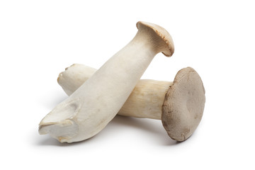 Fresh king oyster mushrooms