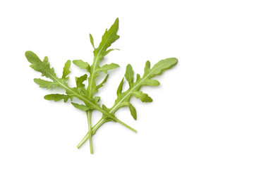 Fresh leaves of Rucola lettuce