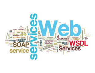 Obraz premium Web Services Word Tags on white background