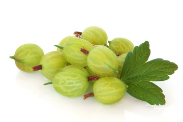 Gooseberries