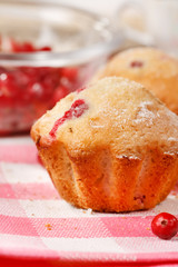 Cranberry muffins