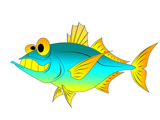 funny fish