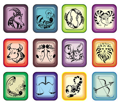 Vector signs of zodiac