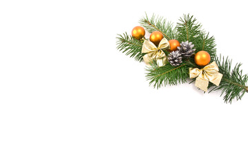 decorated tree branch on white background