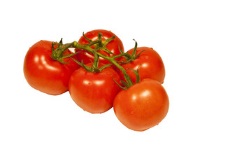 Tomato