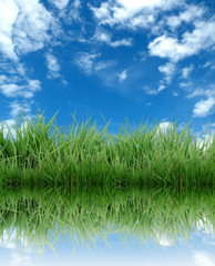 green grass with blue sky reflection