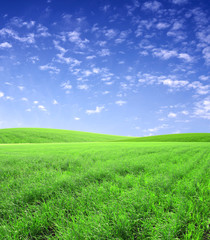 Fototapeta premium Beautiful landscape