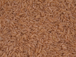 Brown, long grain rice with no background.