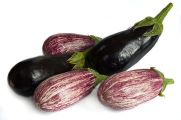 isolated eggplants