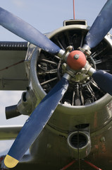 frontal view of AN2 middle