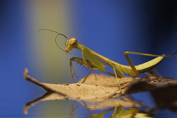 Rising flood, and there boat?