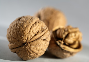 walnut over grey background still-life. is not isolated image