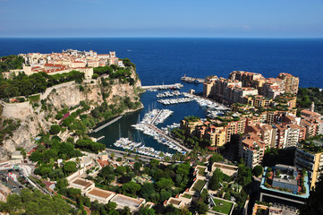 Monte Carlo view