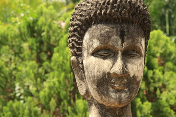 Buddha