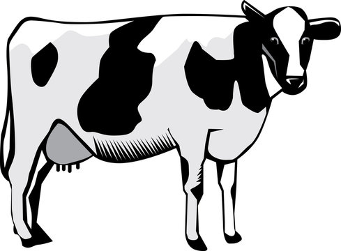 recommend clip art: Cow