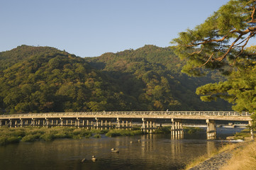 Fototapeta premium 朝の渡月橋