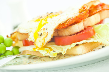Sandwich with egg and tomato