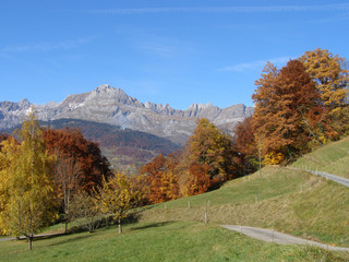 Fototapeta premium Aravis en automne
