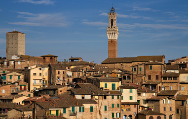 Fototapeta premium Panorama of Siena with Palazzo Pubblico