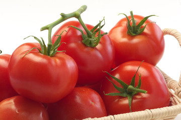tomato
