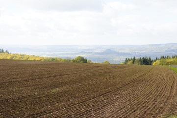 Acker mit neuer Saat im Oktober