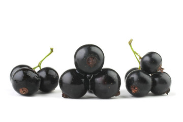 Black currant