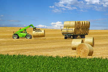 Obraz premium Chargement de paille