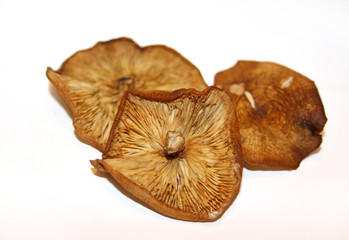 Dried agaric honey mushrooms on a white background