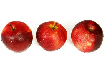 tre mele rosse