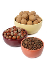 Walnuts, hazelnuts and pine nuts