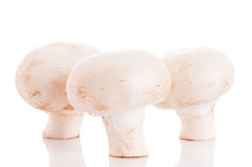 Champignons