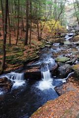 Autumn creek in woods with foliage