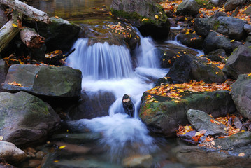 Fototapeta na wymiar Autumn creek closeup