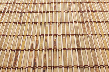 bamboo texture