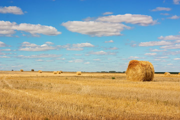 Fototapeta na wymiar field of straw bales