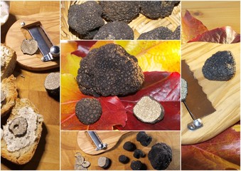 Truffes de Bourgogne