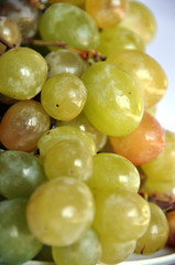 grapes isolated in a white background