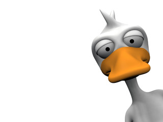 bonjour le canard © NJ