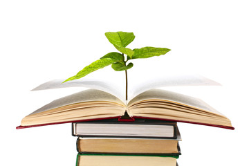 books and plant