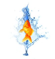 Golden fish jumping on fountain