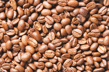 Coffee beans in close-up