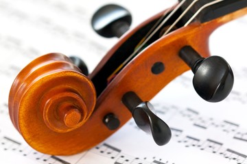 Naklejka premium violin: scroll and pegbox