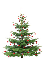 Rot dekorierter Weihnachtsbaum