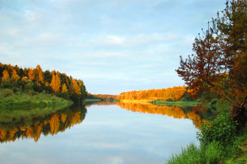 Naklejka premium Autumn colors