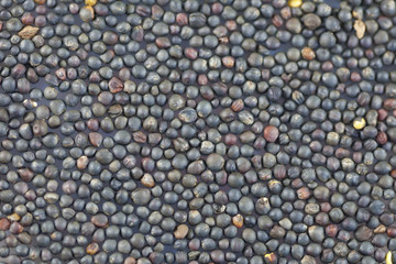 Mustard seeds