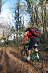 Mountainbiker im Wald